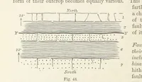 An illustration from The Student's Manual of Geology (1862)