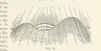 An illustration from The Student's Manual of Geology (1862)