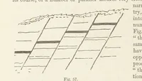 An illustration from The Student's Manual of Geology (1862)
