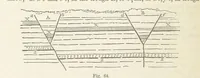 An illustration from The Student's Manual of Geology (1862)