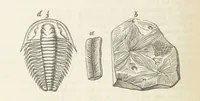 An illustration from The Student's Manual of Geology (1862)