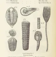 An illustration from The Student's Manual of Geology (1862)