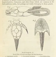 An illustration from The Student's Manual of Geology (1862)