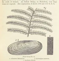An illustration from The Student's Manual of Geology (1862)