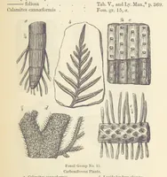 An illustration from The Student's Manual of Geology (1862)
