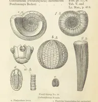 An illustration from The Student's Manual of Geology (1862)