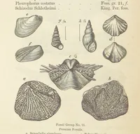 An illustration from The Student's Manual of Geology (1862)