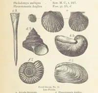 An illustration from The Student's Manual of Geology (1862)