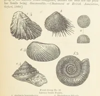 An illustration from The Student's Manual of Geology (1862)