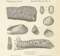 An illustration from The Student's Manual of Geology (1862)