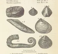 An illustration from The Student's Manual of Geology (1862)