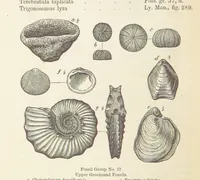 An illustration from The Student's Manual of Geology (1862)