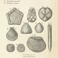 An illustration from The Student's Manual of Geology (1862)