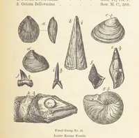 An illustration from The Student's Manual of Geology (1862)