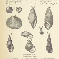 An illustration from The Student's Manual of Geology (1862)