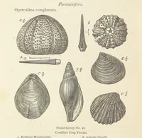 An illustration from The Student's Manual of Geology (1862)