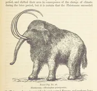 An illustration from The Student's Manual of Geology (1862)