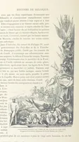 An illustration from Histoire de Belgique depuis les temps primitits jusqu'à nos jours. [With coloured illustrations (1895)