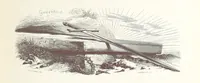 An illustration from Histoire de la Belgique ... Troisième edition, entièrement refondue et ... augmentée, etc (1853)