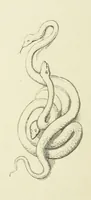 An illustration from The Poetical Works of John Keats. With a memoir by Richard Monckton Milnes. Illustrated by 120 designs, original and from the antique, drawn on wood by George Scharf, Jun (1854)