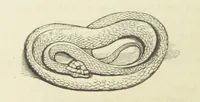 An illustration from The Poetical Works of John Keats. With a memoir by Richard Monckton Milnes. Illustrated by 120 designs, original and from the antique, drawn on wood by George Scharf, Jun (1854)
