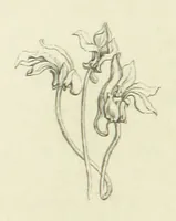 An illustration from The Poetical Works of John Keats. With a memoir by Richard Monckton Milnes. Illustrated by 120 designs, original and from the antique, drawn on wood by George Scharf, Jun (1854)