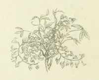 An illustration from The Poetical Works of John Keats. With a memoir by Richard Monckton Milnes. Illustrated by 120 designs, original and from the antique, drawn on wood by George Scharf, Jun (1854)