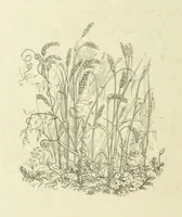 An illustration from The Poetical Works of John Keats. With a memoir by Richard Monckton Milnes. Illustrated by 120 designs, original and from the antique, drawn on wood by George Scharf, Jun (1854)