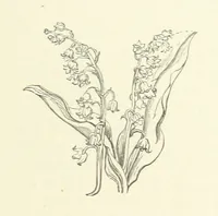 An illustration from The Poetical Works of John Keats. With a memoir by Richard Monckton Milnes. Illustrated by 120 designs, original and from the antique, drawn on wood by George Scharf, Jun (1854)