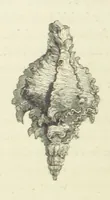 Picture 77 of 101 from The Poetical Works of John Keats. With a memoir by Richard Monckton Milnes. Illustrated by 120 designs, original and from the antique, drawn on wood by George Scharf, Jun (1854), leaf 354