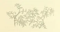 An illustration from The Poetical Works of John Keats. With a memoir by Richard Monckton Milnes. Illustrated by 120 designs, original and from the antique, drawn on wood by George Scharf, Jun (1854)