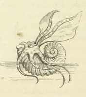 An illustration from The Poetical Works of John Keats. With a memoir by Richard Monckton Milnes. Illustrated by 120 designs, original and from the antique, drawn on wood by George Scharf, Jun (1854)