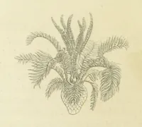 Picture 7 of 101 from The Poetical Works of John Keats. With a memoir by Richard Monckton Milnes. Illustrated by 120 designs, original and from the antique, drawn on wood by George Scharf, Jun (1854), leaf 62