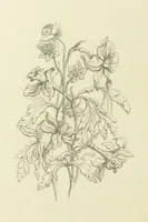 An illustration from The Poetical Works of John Keats. With a memoir by Richard Monckton Milnes. Illustrated by 120 designs, original and from the antique, drawn on wood by George Scharf, Jun (1854)