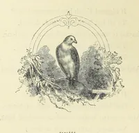 An illustration from The Christian Year, etc. [With a portrait (1874)