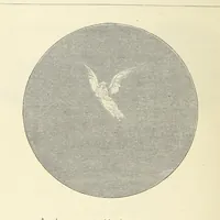 An illustration from The Christian Year, etc. [With a portrait (1874)