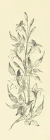 An illustration from The Christian Year, etc. [With a portrait (1874)