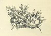 An illustration from The Christian Year, etc. [With a portrait (1874)