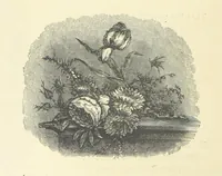 An illustration from The Christian Year, etc. [With a portrait (1874)