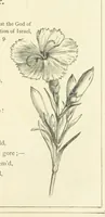 An illustration from The Christian Year, etc. [With a portrait (1874)