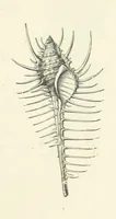 An illustration from The Christian Year, etc. [With a portrait (1874)