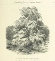 An illustration from The Christian Year, etc. [With a portrait (1874)