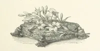 An illustration from The Christian Year, etc. [With a portrait (1874)