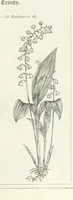 An illustration from The Christian Year, etc. [With a portrait (1874)