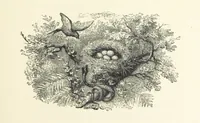 An illustration from The Christian Year, etc. [With a portrait (1874)