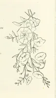An illustration from The Christian Year, etc. [With a portrait (1874)