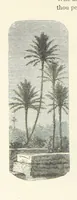 An illustration from The Christian Year, etc. [With a portrait (1874)