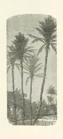 An illustration from The Christian Year, etc. [With a portrait (1874)
