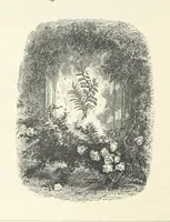 An illustration from The Christian Year, etc. [With a portrait (1874)