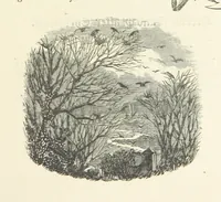 An illustration from The Christian Year, etc. [With a portrait (1874)